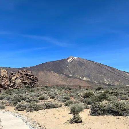 Appartement House Harvey J53 Mareverde *